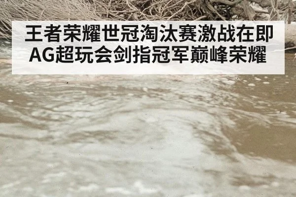 王者荣耀世冠淘汰赛激战在即AG超玩会剑指冠军巅峰荣耀