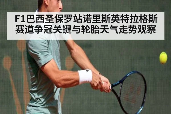 F1巴西圣保罗站诺里斯英特拉格斯赛道争冠关键与轮胎天气走势观察